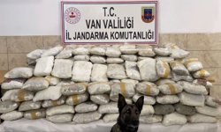 Van ve Hakkari’de baskın! 8 kişi yakalandı