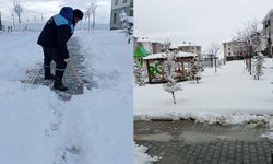 Doğu’da kış geri döndü: 317 yol ulaşıma kapandı