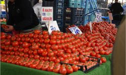 Van'da 08 Nisan Hal Fiyatları: Meyve ve Sebze Fiyatları Ne Kadar?