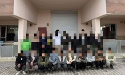 Van’da göçmen kaçakçılığı operasyonu: 20 düzensiz göçmen yakalandı