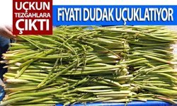 Van’da ilk uçkunlar tezgaha çıktı: Fiyatlar cep yakıyor