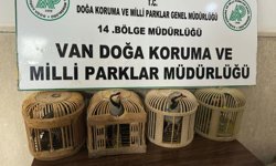 Van’da kafes avcılığı yapan kişiye 86 bin TL ceza!