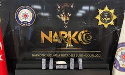 Van’da kilolarca zehirli madde ele geçirildi