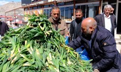 Van’da şifa kaynağı çiriş, tezgahlardaki yerini aldı