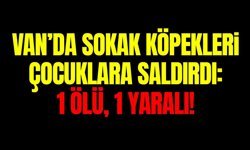 Van’da sokak köpekleri çocuklara saldırdı: 1 ölü, 1 yaralı!