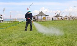 Van’da yaz öncesi haşereyle mücadele seferberliği başladı