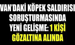 Van’daki köpek saldırısı soruşturmasında yeni gelişme: 1 kişi gözaltına alında