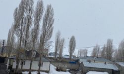 Van’ın ilçelerinde kar yağışı etkili oluyor!