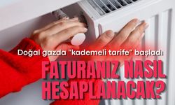 Van’ın yeni dönem: Doğal gazda "kademeli tarife" başladı