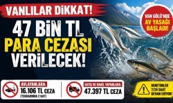 Vanlılar dikkat! 47 bin TL para cezası verilecek