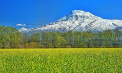 Ağrı Dağı Milli Parkı artık "Hassas Alan" ilan edildi