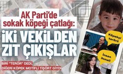 AK Parti’de sokak köpeği çatlağı: İki vekilden zıt çıkışlar