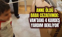 Anne öldü, baba cezaevinde: Van’daki 4 kardeş yardım bekliyor