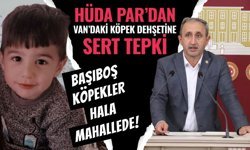 HÜDA PAR Milletvekili Demir’den Van’daki köpek dehşetine sert tepki