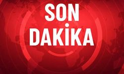 SON DAKİKA! Van hayvan pazarında silahlı kavga