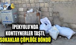 İpekyolu’nda konteynerler taştı, sokaklar çöplüğe döndü
