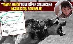 “Mama lobisi"nden Van’daki köpek saldırısına ilişkin insanlık dışı yorumlar!