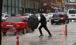 Meteorolojiden açıklama: Van’a kuvvetli yağış bekleniyor