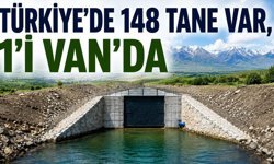 Türkiye’de 148 tane var, 1’i Van’da