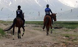 Van Balığı için ekipler sahada