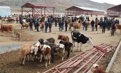 Van Canlı Hayvan Pazarı’nda hareketlilik arttı