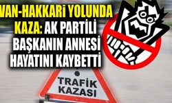 Van-Hakkari yolunda kaza: AK Partili başkanın annesi hayatını kaybetti