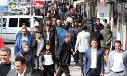 Van, hane halkı büyüklüğünde üst sıralardaki yerini korudu