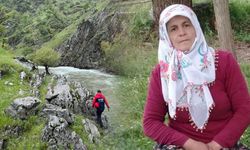 Van Jandarması, kayıp Gülsima için seferber oldu