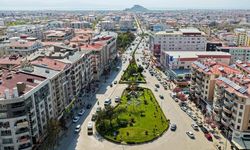 Van sokakları mevsimlik çiçeklerle renkleniyor