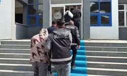 Van ve Hakkâri emniyetinden ortak operasyon: 14 gözaltı