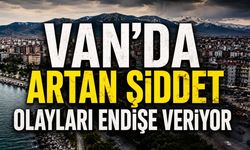 Van’da artan şiddet olayları endişe veriyor