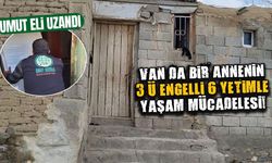 Van’da bir annenin 3’ü engelli 6 yetimle yaşam mücadelesi!