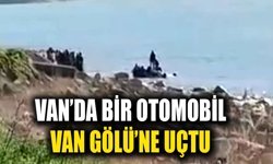 Van’da bir otomobil Van Gölü’ne uçtu