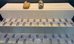 Van’da çok sayıda silah ve zehirli madde ele geçirildi