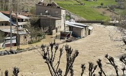 Van’da dereler taştı, yerleşim yerleri su altında kaldı