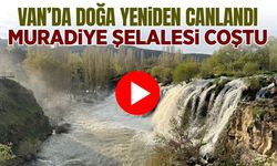 Van’da doğa yeniden canlandı: Muradiye Şelalesi coştu