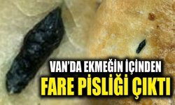 Van’da ekmeğin içinden fare pisliği çıktı