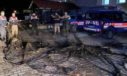 Van’da kaçak inci kefali avcılarına suçüstü!