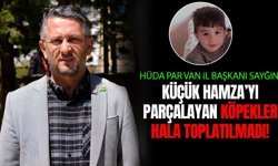 “Van’da küçük çocuğu parçalayarak yiyen köpekler hala toplatılmadı!”
