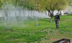 Van’da Kurban Bayramı öncesi ilaçlama mesaisi
