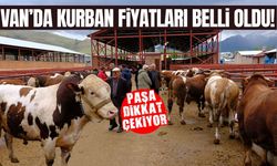 Van’da kurban fiyatları belli oldu! İşte küçük ve büyükbaş fiyatları…