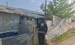 Van’da kurbanlar umut oldu: Kapı kapı dağıtıldı