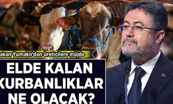 Van'da kurbanlıklarını satamayan çiftçilere müjde! ESK alacak...