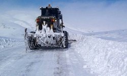 Van’da Mayıs ayında 30 yerleşim yeri yolu kardan kapandı
