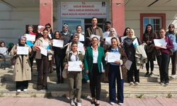 Van’da sağlık çalışanlarına temel yenidoğan bakımı eğitimi verildi