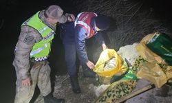 Van’da yüzlerce kilo inci kefali ele geçirildi!