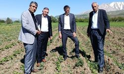 Coğrafi işaretli Gevaş Fasulyesi üreticilerine ziyaret