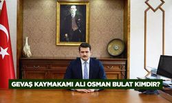 Gevaş Kaymakamı Ali Osman Bulat kimdir?