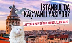İstanbul’da kaç Vanlı yaşıyor? TÜİK verileri paylaşıldı