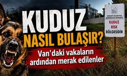 Kuduz bulaşıcı mıdır? Van'daki vakaların ardından merak edilenler